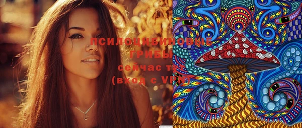 таблы Новодвинск