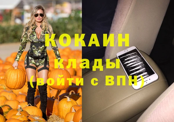 таблы Новодвинск