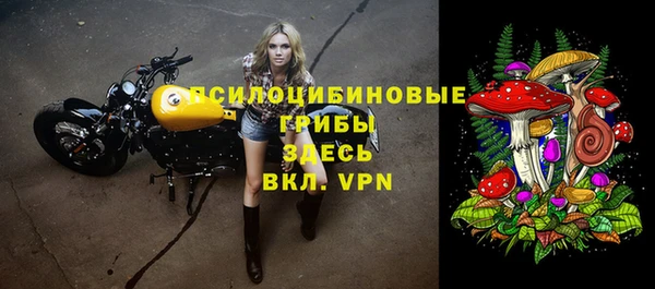 синтетический гашиш Новозыбков