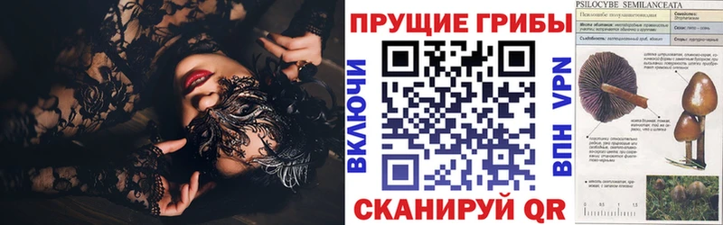 блэк спрут рабочий сайт Заинск Псилоцибиновые грибы мухоморы наркошоп