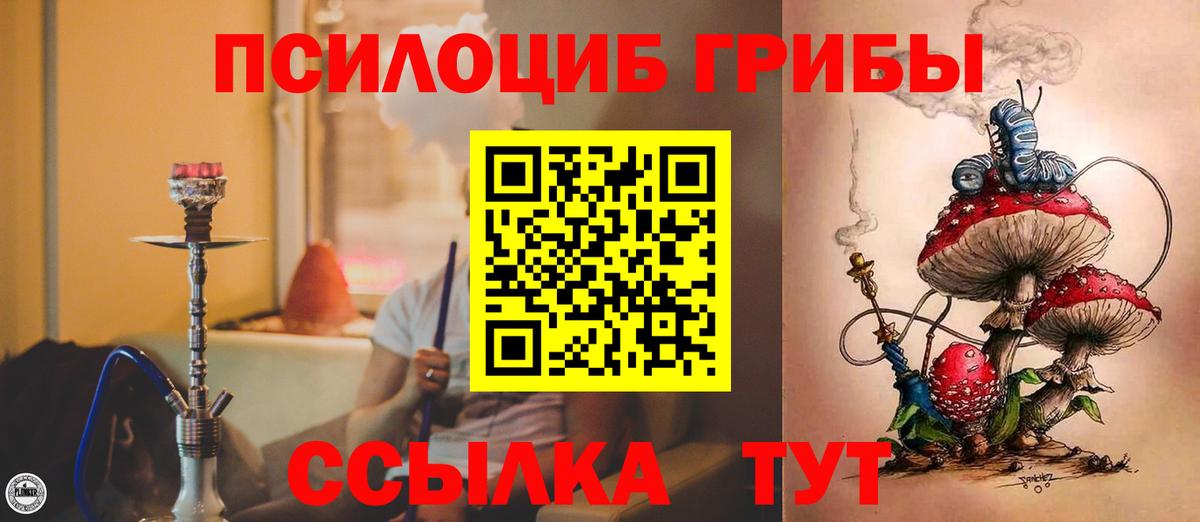 Псилоцибиновые грибы Psilocybine cubensis Заинск