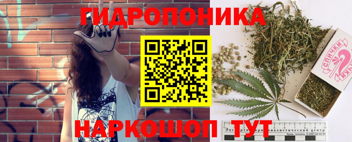 Бошки Шишки Amnesia Заинск